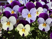 �C���[�W01